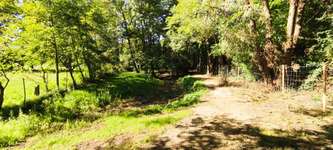 Hundeauslaufgebiet-Hundezone Breitenfurt-Bild