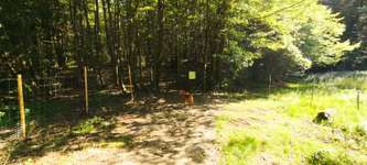 Hundeauslaufgebiet-Hundezone Breitenfurt-Bild