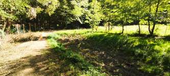 Hundeauslaufgebiet-Hundezone Breitenfurt-Bild