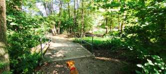 Hundeauslaufgebiet-Hundezone Breitenfurt-Bild