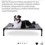 Hund und Fußbodenheizung-Beitrag-Bild