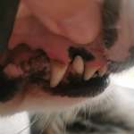 Empfehlung zu Zahnreinigung & Zahnsteinentfernung-Beitrag-Bild