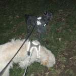 Ersteller:in Hannah Profilbild