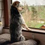 Ersteller:in Alexandra & Peter Profilbild