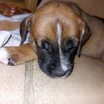 Ersteller:in Nadine Profilbild