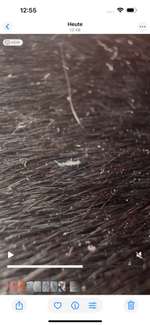 Wurmbefall ?-Beitrag-Bild