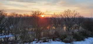 Hundeauslaufgebiet-Elsteraue Saaleufer-Bild