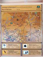 Hundeauslaufgebiet-Martinwiese-Bild