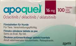 apoquel 16mg-Beitrag-Bild