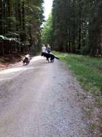 Hundeauslaufgebiet-Fatimakapelle-Bild