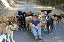 Cesar Millan-Beitrag-Bild