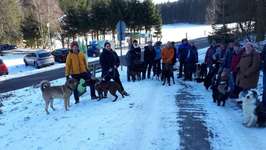 Hundewanderungen in Niederbayern für Raum Passau, Deggendorf, Freyung, Bodenmais und Grafenau...-Beitrag-Bild