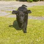 Ersteller:in Bianca Profilbild