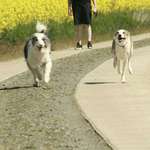 Ersteller:in Sarah Profilbild