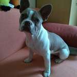 Ersteller:in Marion Profilbild