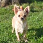 Ersteller:in Silvana Profilbild