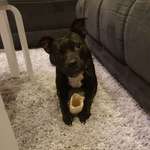 Ersteller:in Xenia Profilbild