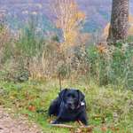 Ersteller:in Michaela Profilbild