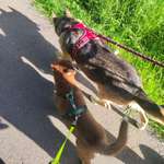 Ersteller:in Millane-Kristin Profilbild