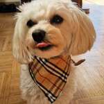 Ersteller:in Marisa Profilbild