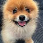 Ersteller:in Doris Profilbild