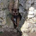 Ersteller:in Ve Profilbild