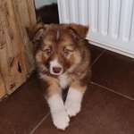 Ersteller:in Marco Profilbild