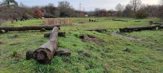 Hundeauslaufgebiet-Hundespiel- und Übungsplatz-Bild