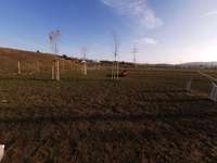 Hundeauslaufgebiet-Hundefreilaufzone Mattersburg-Bild