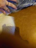 Harte Stelle an der Milchdrüse-Beitrag-Bild