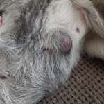 Was ist das?-Beitrag-Bild