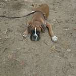 Ersteller:in Elke Profilbild