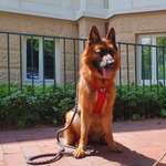 Ersteller:in Jenny Profilbild