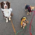 Ersteller:in Tina Profilbild