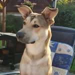 Ersteller:in Susanne Profilbild