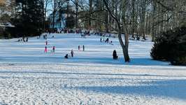 Hundeauslaufgebiet-Gosslers Park-Bild