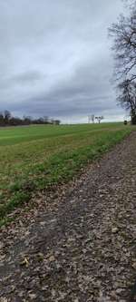 Hundeauslaufgebiet-Stadtwald Kohloch-Bild