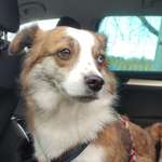 Ersteller:in Barbara Profilbild