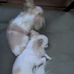 Ersteller:in Franzi Profilbild