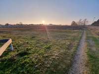 Hundeauslaufgebiet-Parkplätze-Bild