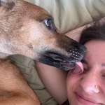 Ersteller:in Sava Profilbild