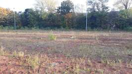 Hundeauslaufgebiet-Ehemaliger Fußballplatz-Bild