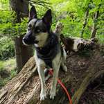 Ersteller:in Annett Profilbild