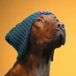 Ersteller:in Goretti&Robert Profilbild