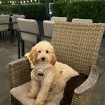 Ersteller:in Maya Profilbild