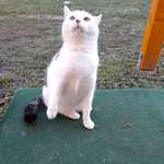 Ersteller:in Anne Profilbild