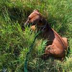 Ersteller:in Sarah Profilbild