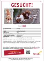 Suchmeldung-Max-Bild
