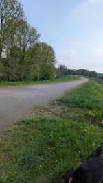 Hundeauslaufgebiet-Halde Rölighausen da neben ein See-Bild