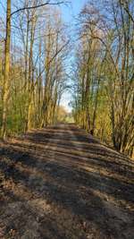 Hundeauslaufgebiet-Halde Rölighausen da neben ein See-Bild